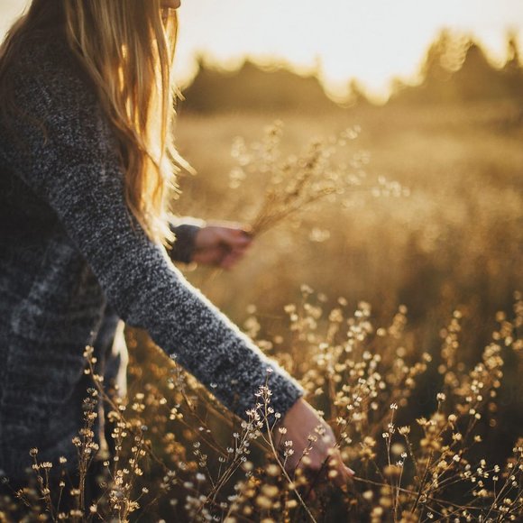 Meet your Posher, Gk - Picture 1 of 1